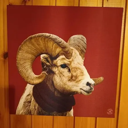 De Montagne Picherande